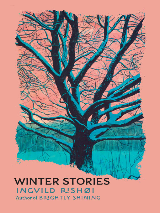 Title details for Winter Stories by Ingvild Rishøi - Available
